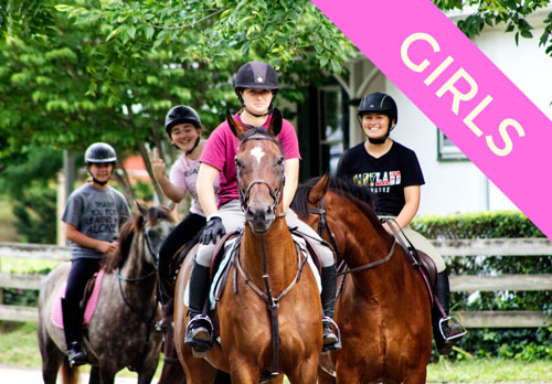 Horse riding camps near shop me